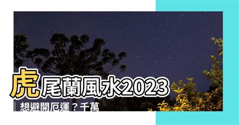 虎尾蘭風水 2023